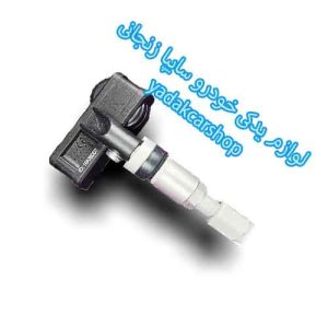 سنسور-باد-شاهین
